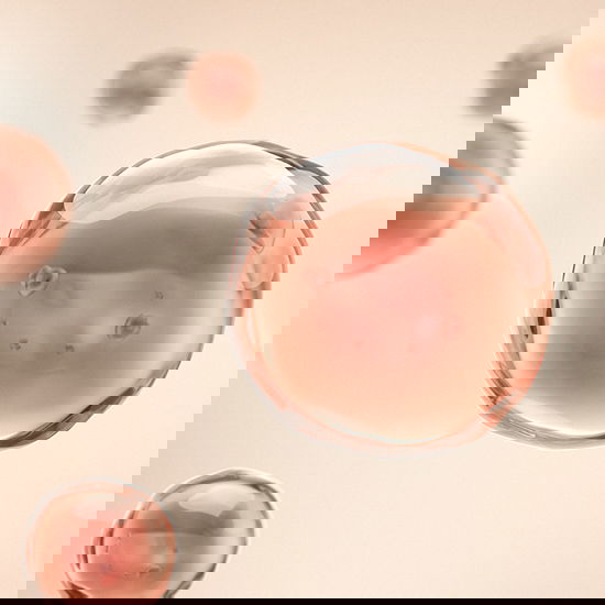 Schematische Darstellung einer Algenzelle