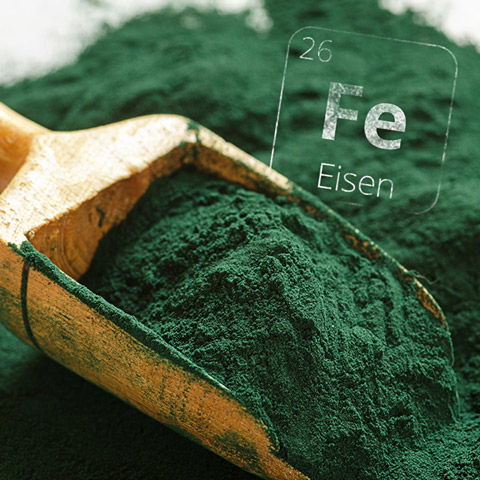 Spirulina Spirulina