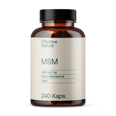 MSM Kapseln