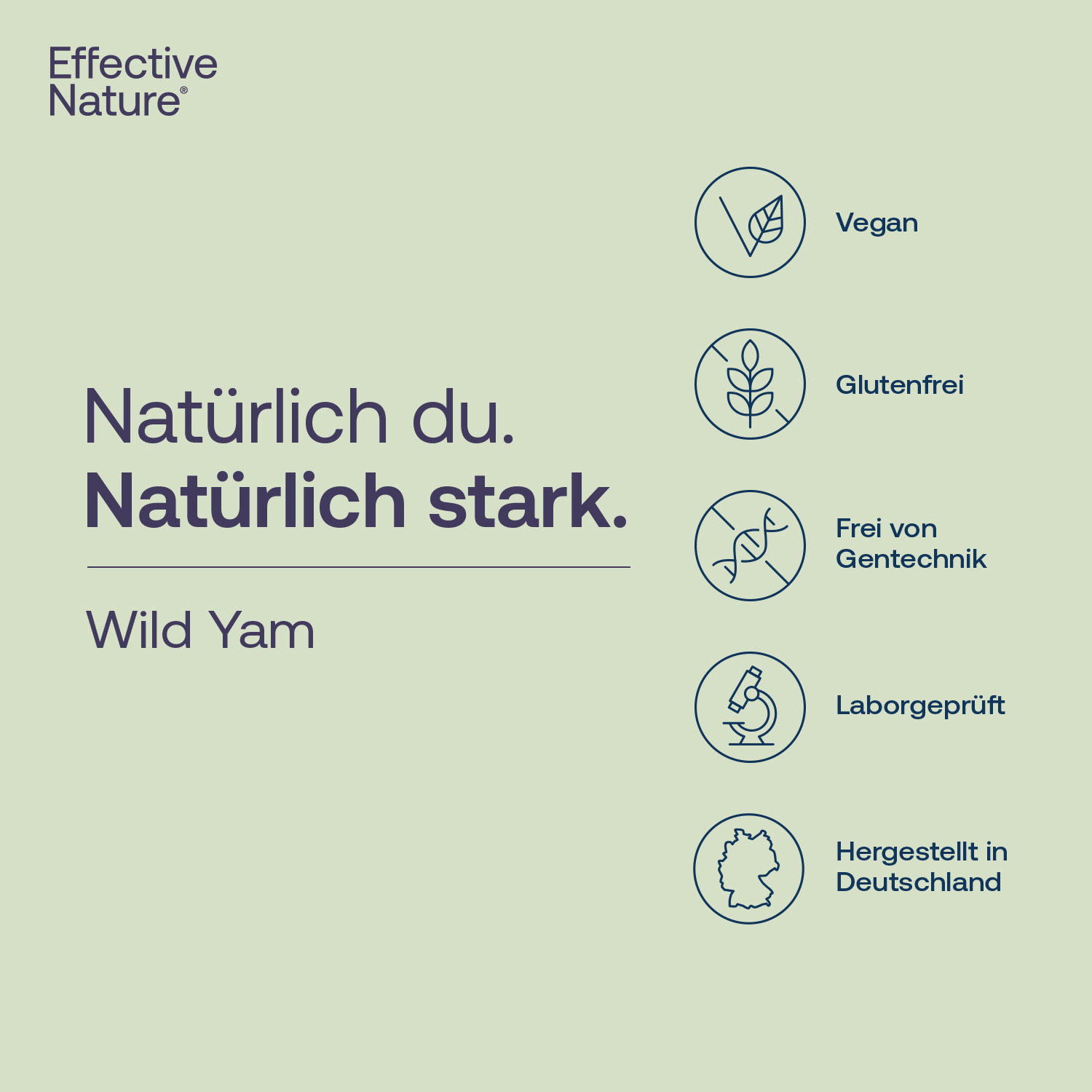 Wild Yam Extrakt Kapseln - 240 Stk. - 101g