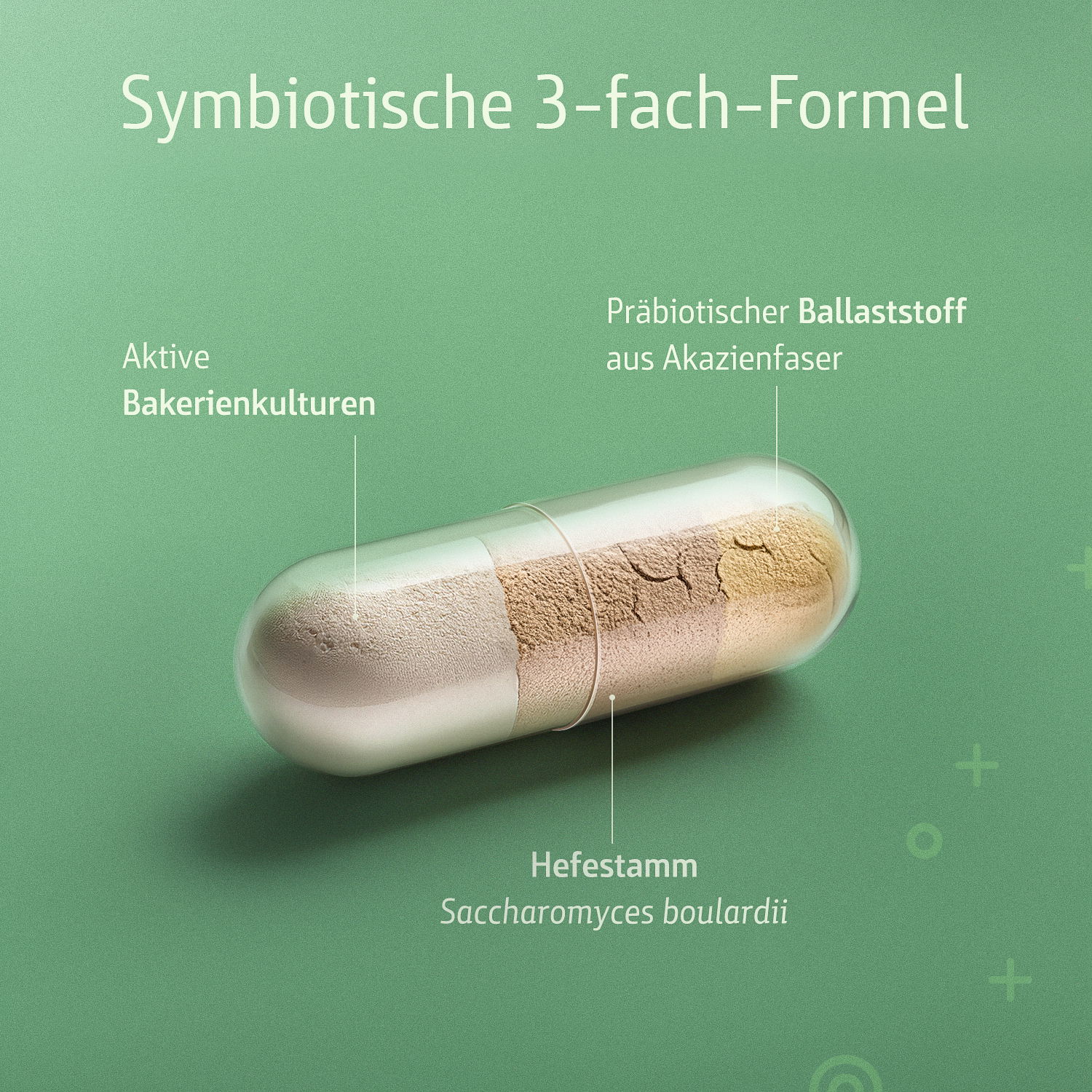 Symbiotische 3-fach-Formel: aktive Bakterienkulturen, Päbiotischer Ballaststoff aus Akazienfaser, Hefestamm