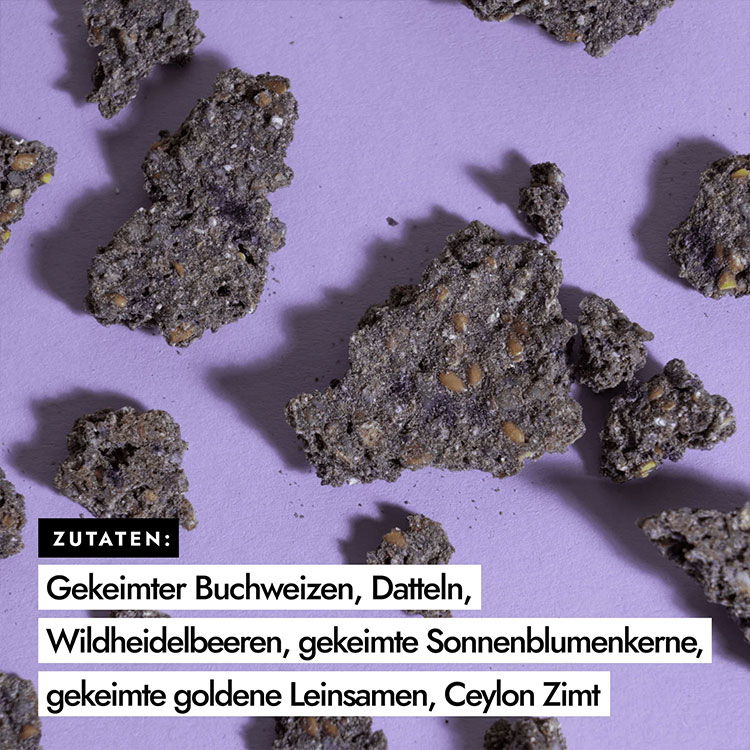 Knusprige Snacks aus gekeimtem Buchweizen, Datteln, Wildheidelbeeren, Sonnenblumenkernen, Leinsamen und Ceylon Zimt auf lila Hintergrund