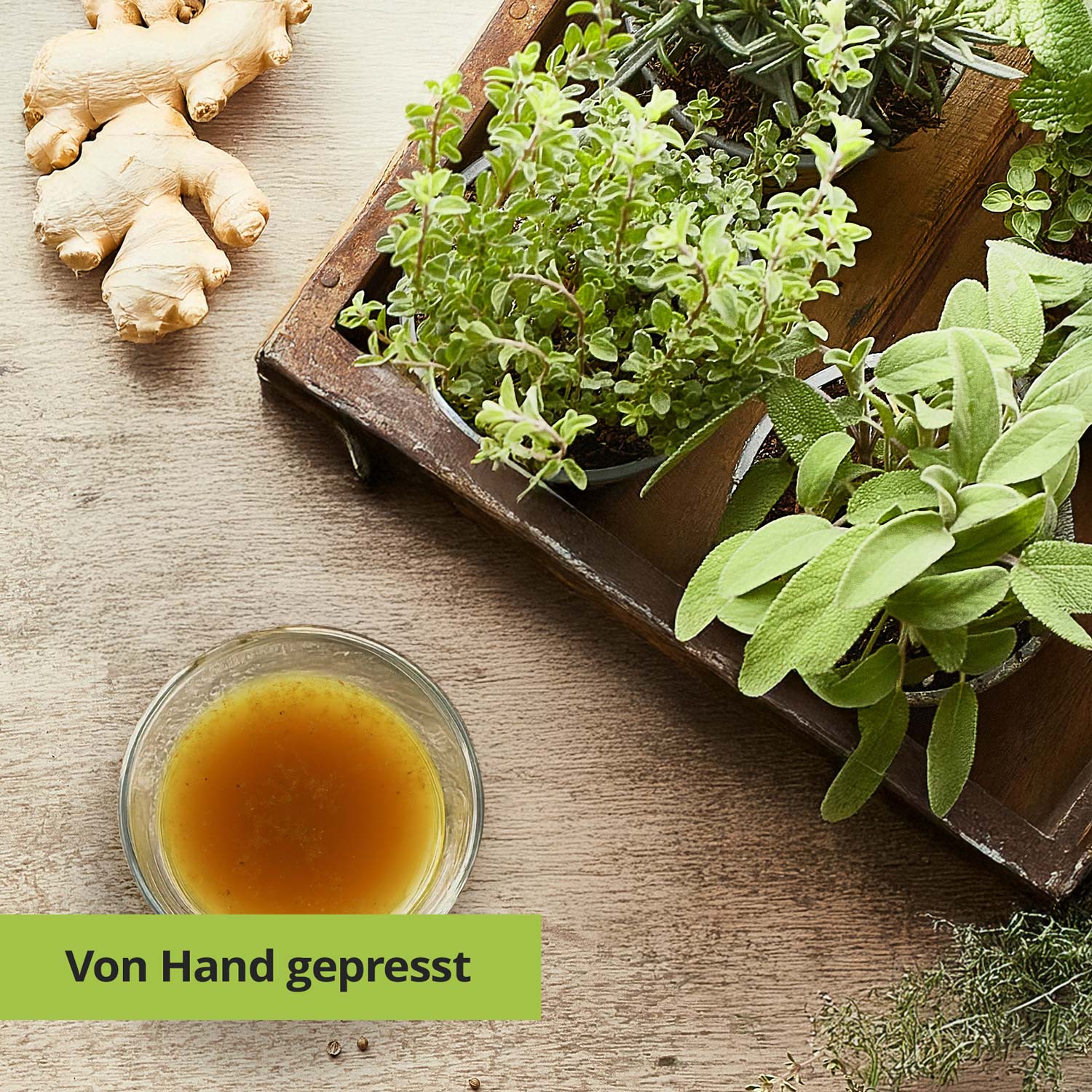 Ein Tablett mit frischen Kräutern neben einer Ingwerwurzel und einer Schale mit handgepresstem Saft