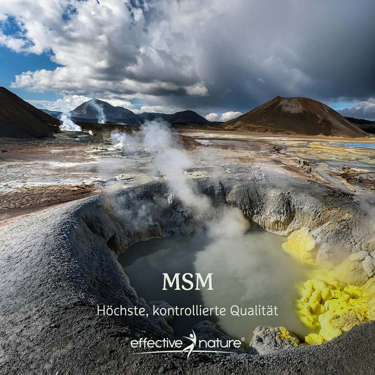 Landschaft mit dampfendem Krater und dem Text 'MSM - Höchste, kontrollierte Qualität' von Effective Nature