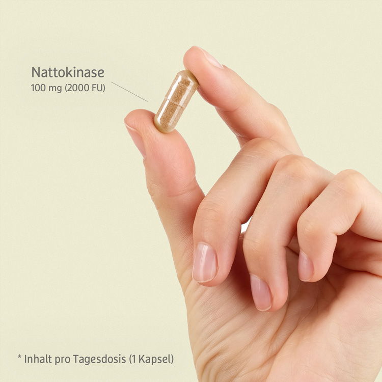 Inhalt pro Tagesdosis (1 Kapsel) Nattokinase 100 mg