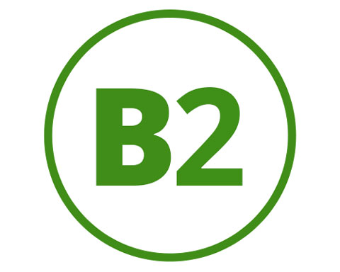 Riboflavin (B2)