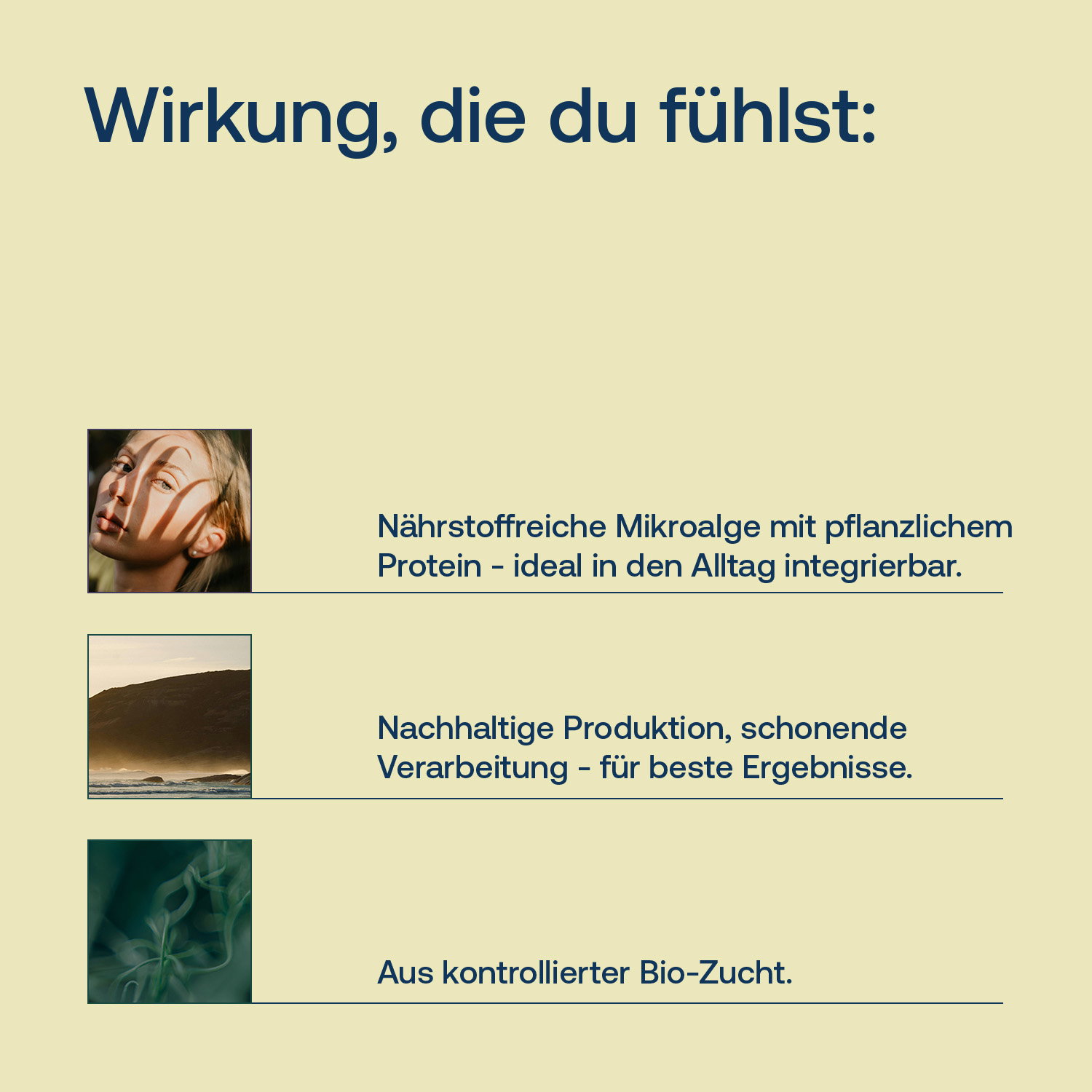 Bio Chlorella mit Hinweisen zu Mikronährstoffen, nachhaltiger Produktion und kontrollierter Bio-Zucht