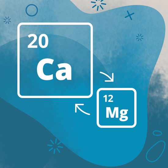 Magnesium und Calcium