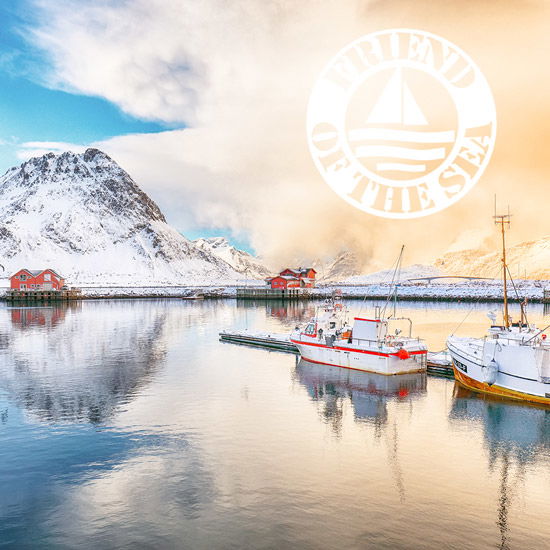 Nordischer Fischtrawler vor eisiger Gebirgskulisse