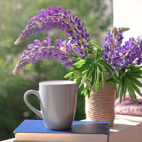 Kaffeetasse und Blumenstrauss aus Lupinen. 