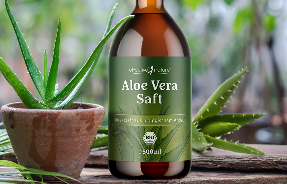 Aloe Vera