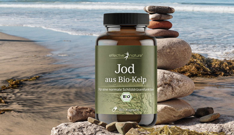 Bio-Kelp von effective nature