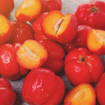 Vitamin C aus der Acerola-Kirsche