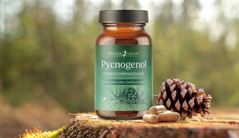 Pycnogenol