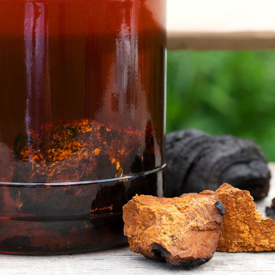 Chaga - Vitalpilz-Elixier