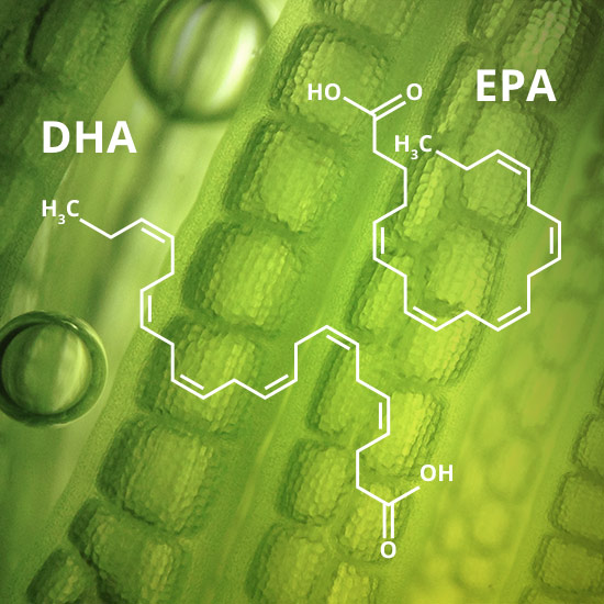 Chemische Struktur DHA und EPA